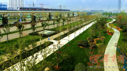 西安歐亞大道變身巨型盆景打卡地，年底將完成全部栽植綠化工程