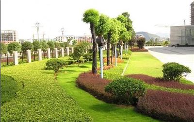 西安綠化工程 城市生態(tài)、園林景觀與市政民生協(xié)同發(fā)展的新篇章